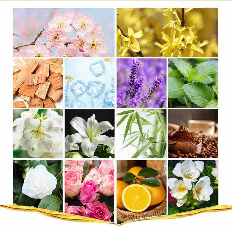 Aromatherapy essential oils